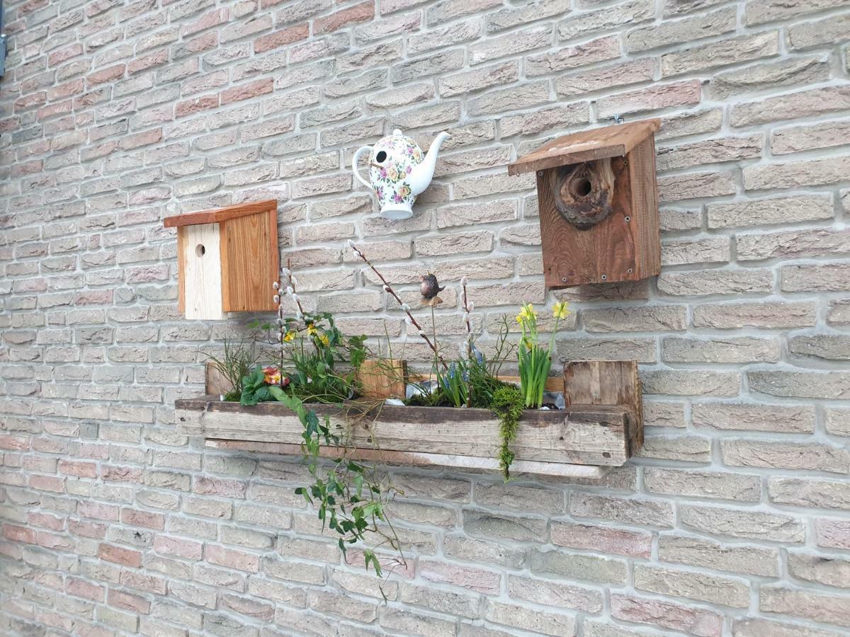 Ferienwohnung Vogelvilla Altenbeken Экстерьер фото